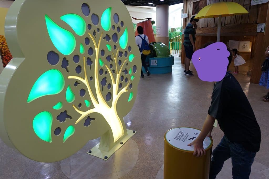 Learn and Play at the Children's Museum of Gwacheon