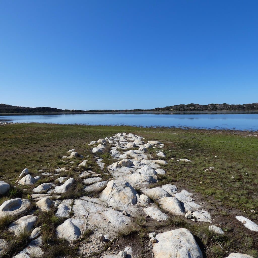 Calverts Lagoon Conservation Area