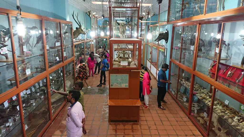 small but interesting museum