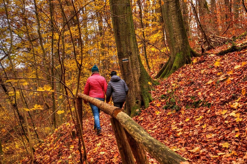 Na górskim, niebieskim szlaku.