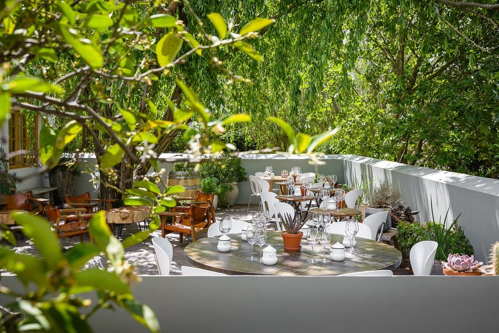 Wine tasting in the Nest.