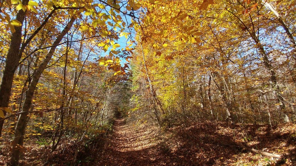 Extensive network of easy and challenging trails