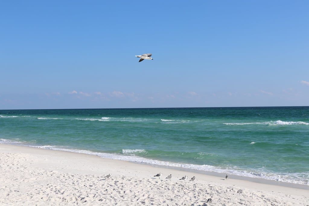 Perdido Key Beach