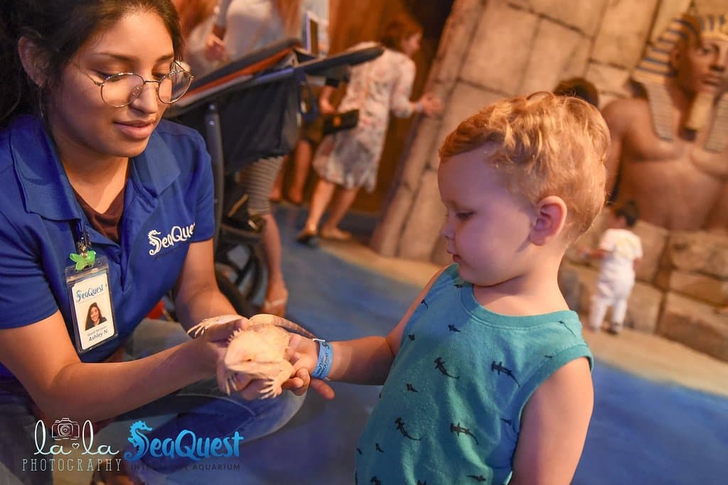 Learn about animals as your travel across 5 continents.