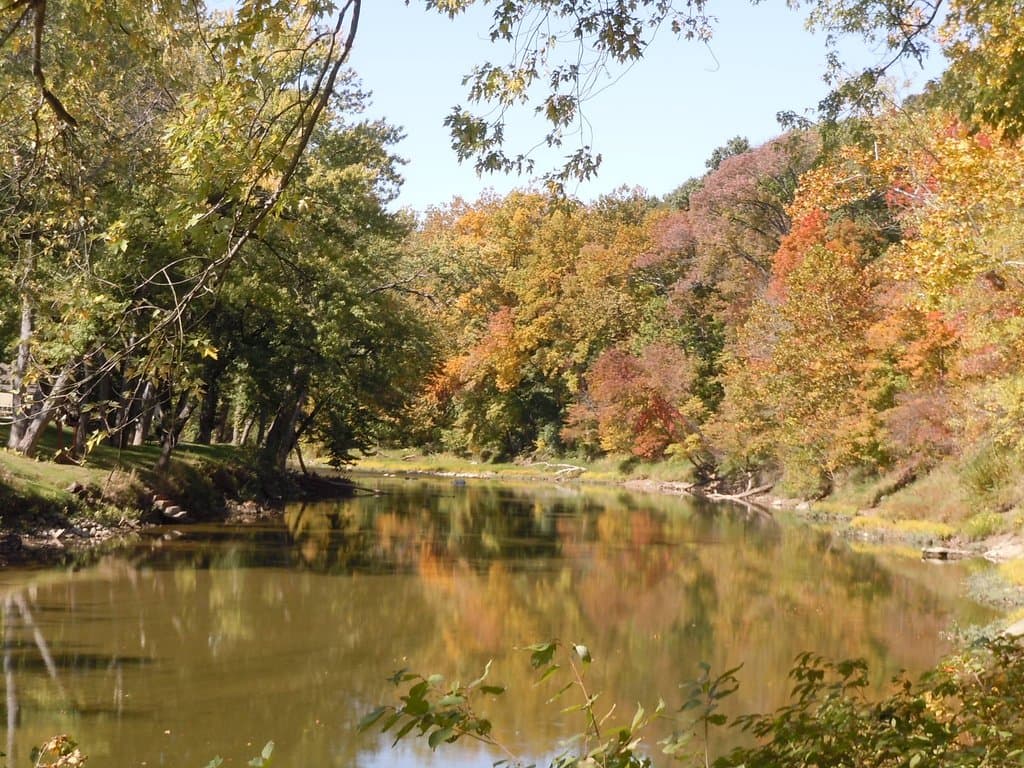Wildcat Creek view from Clegg Memorial Garden trails.