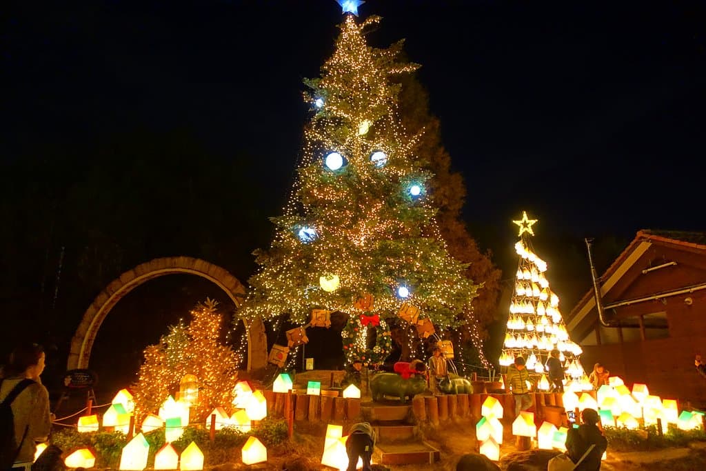 季節柄クリスマスツリーが綺麗でした