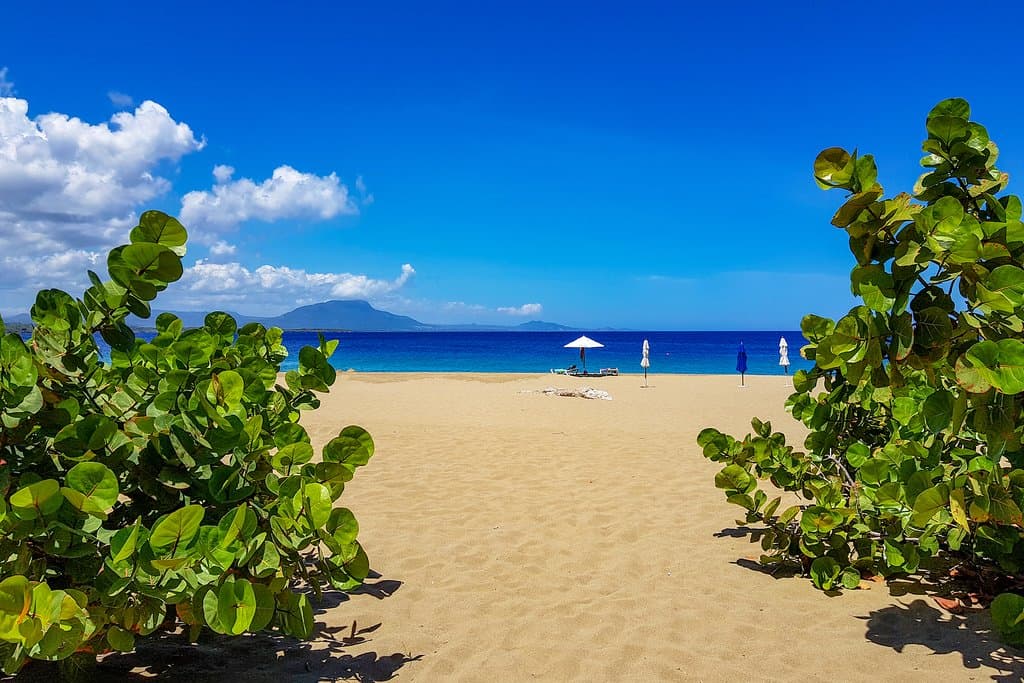Playa Alica in Sosua is one of the best beaches on the North Coast of the DR. There is easy access and parking, a handful of restaurants in the area, and a large expanse of or golden sand.   Alicia has warm, calm waters and very few, if any, agressive vendors. You can rent a chaise lounge and umbrella for a decent price.   This is one of the best in the area for families or just relaxing.