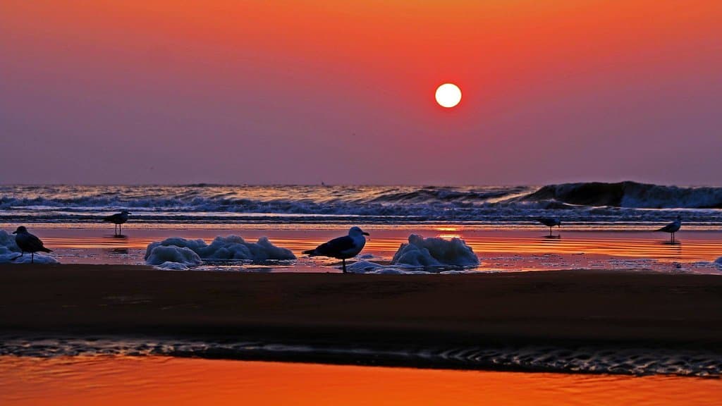 Egmond aan Zee Beach