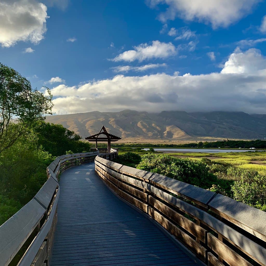 Paphos Coastal Boardwalk