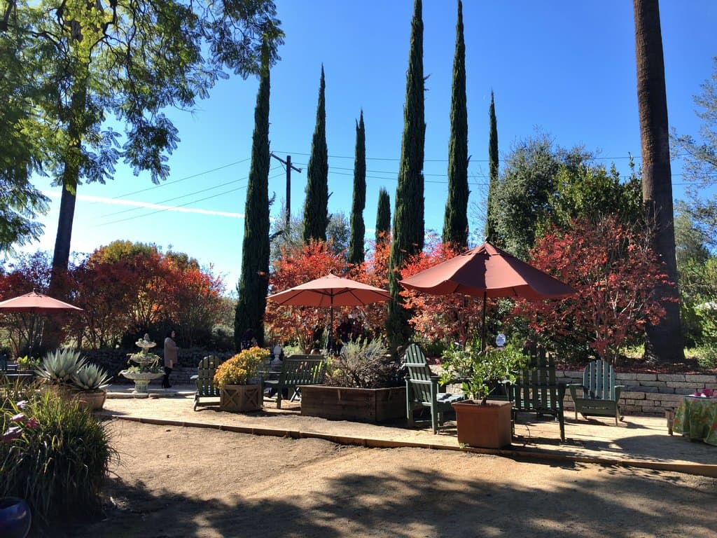 Place to sit and relax