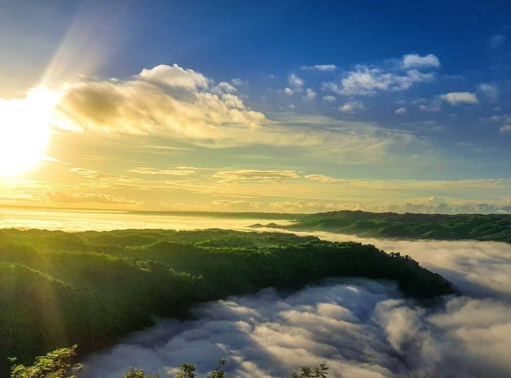 Mangunan Fruit Garden