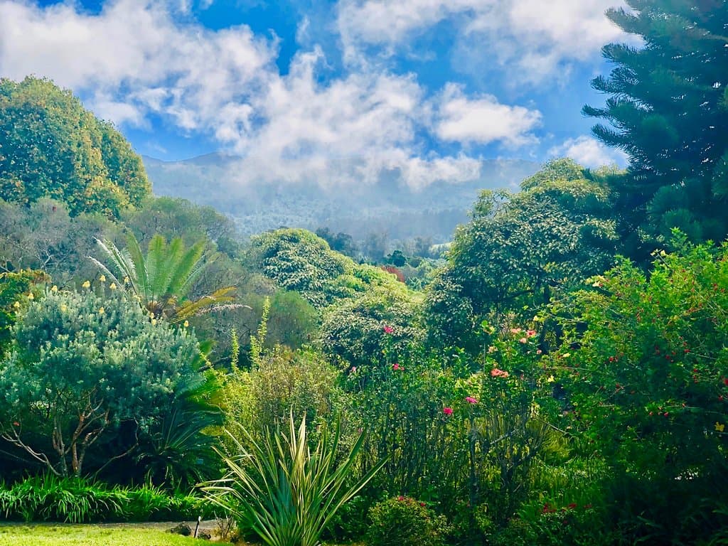 Beautiful scenary