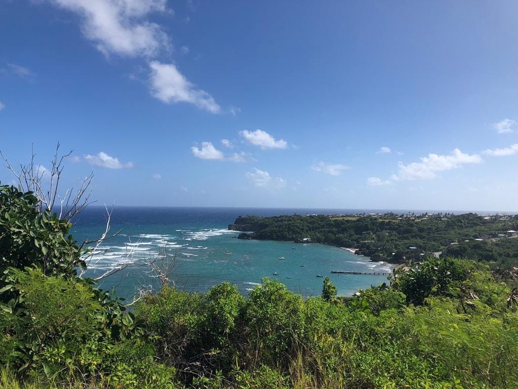View from our Hiking Trail