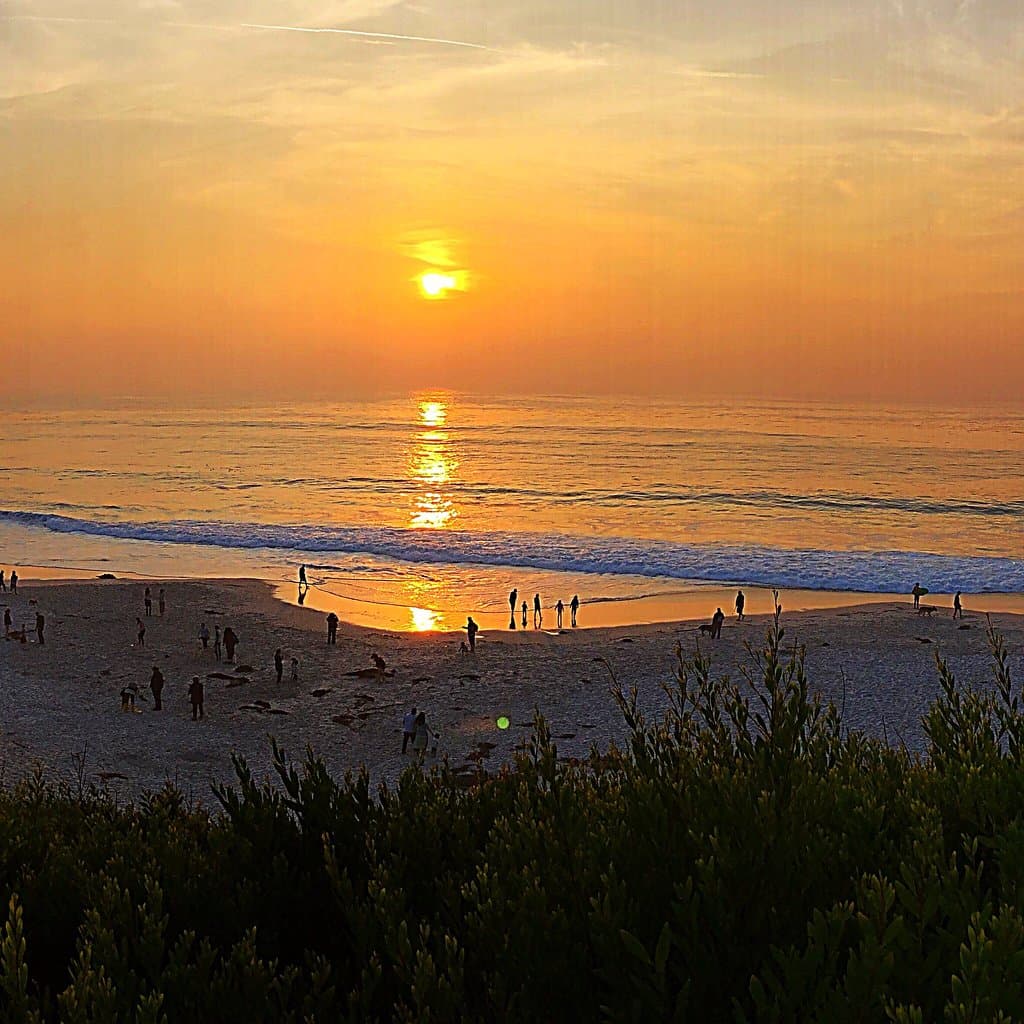 Ocean Avenue