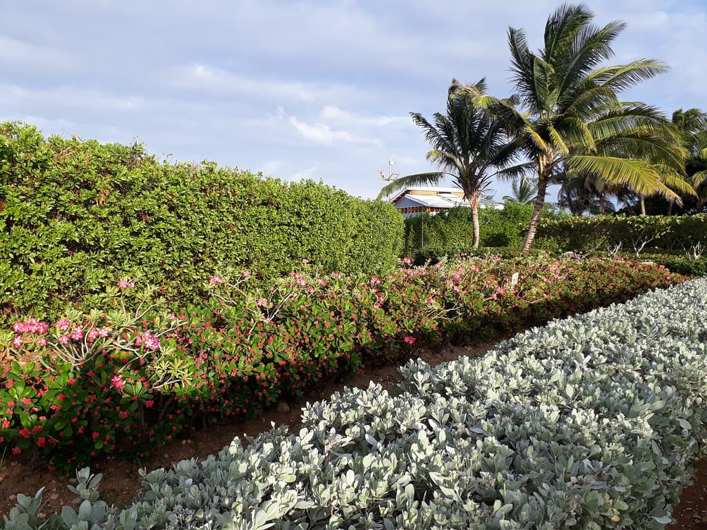 Parque Ecológico San Andres,
