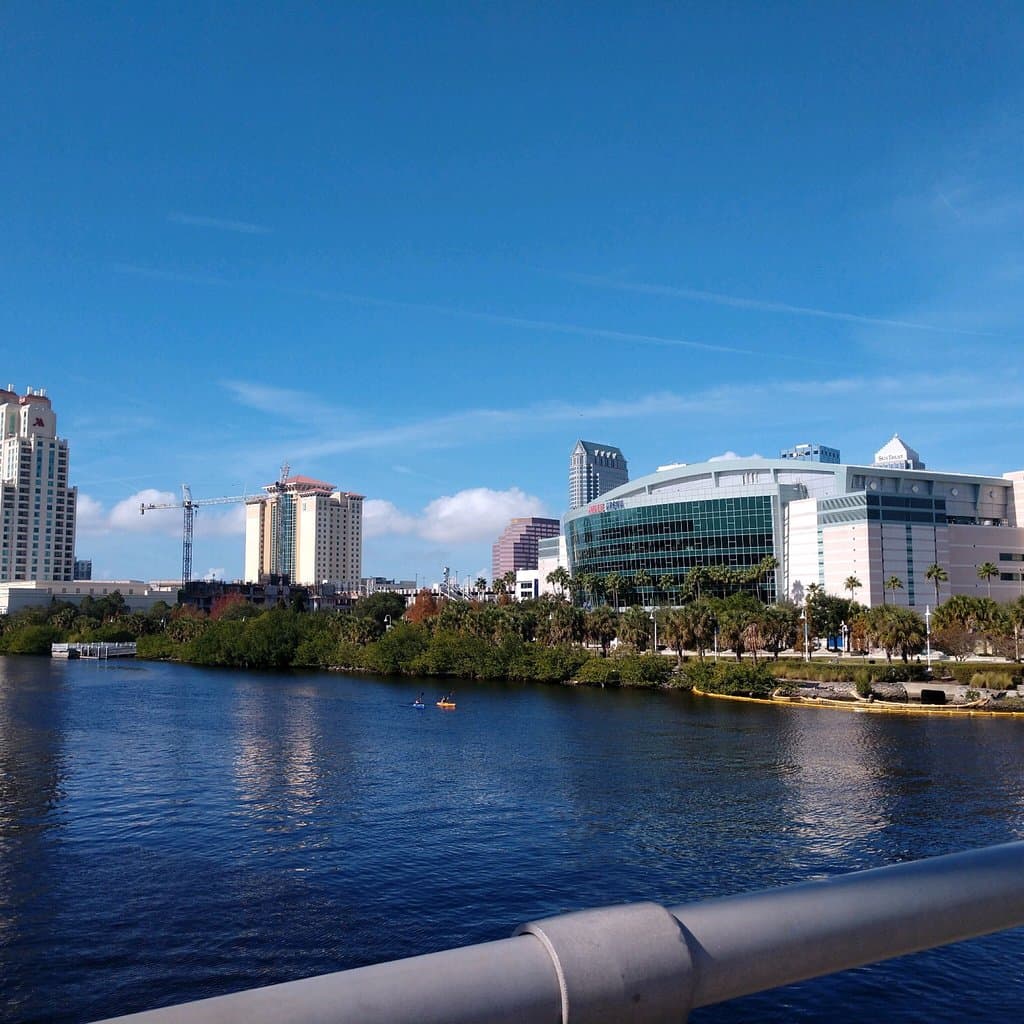 Watervue Grille- Downtown Tampa- Harbour Island