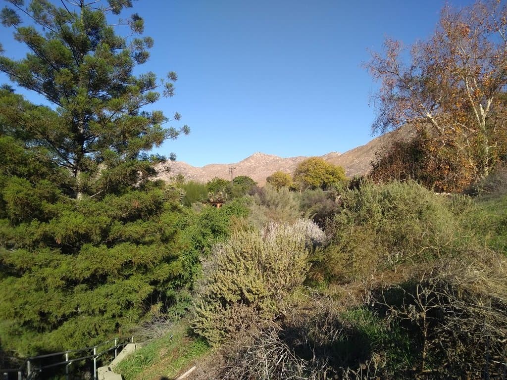 UCR Botanic Gardens