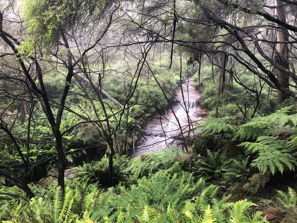 First look at Popes Glen Creek