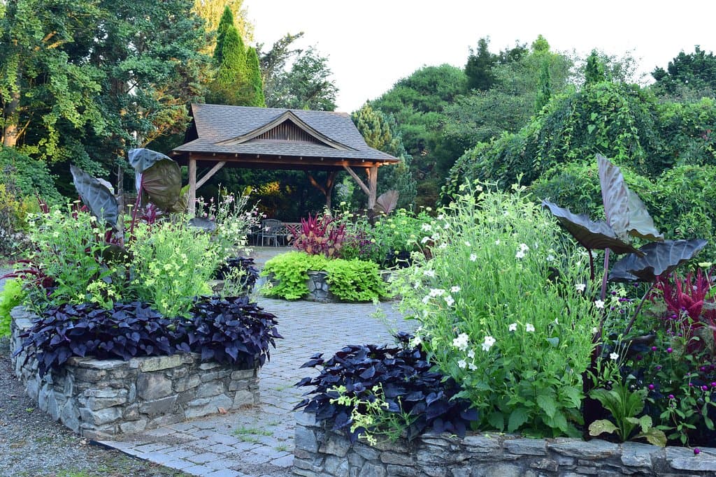Therapy garden & Picnic Gazebo.