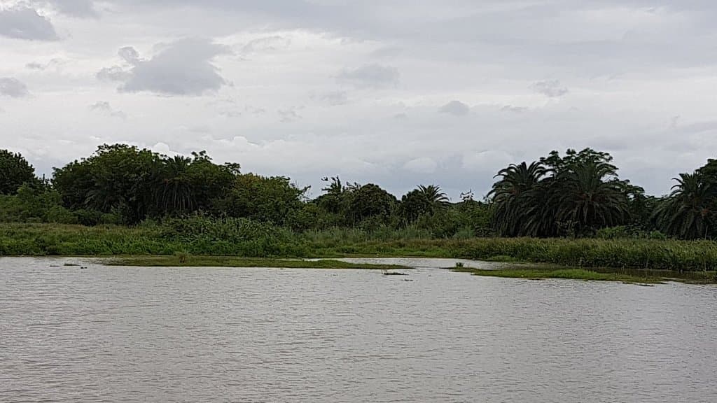 Bahía Encerrada Urban Reserve