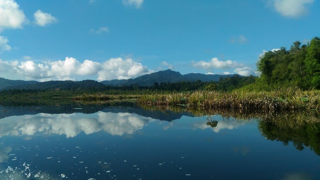 Tasik Chini Malaysia