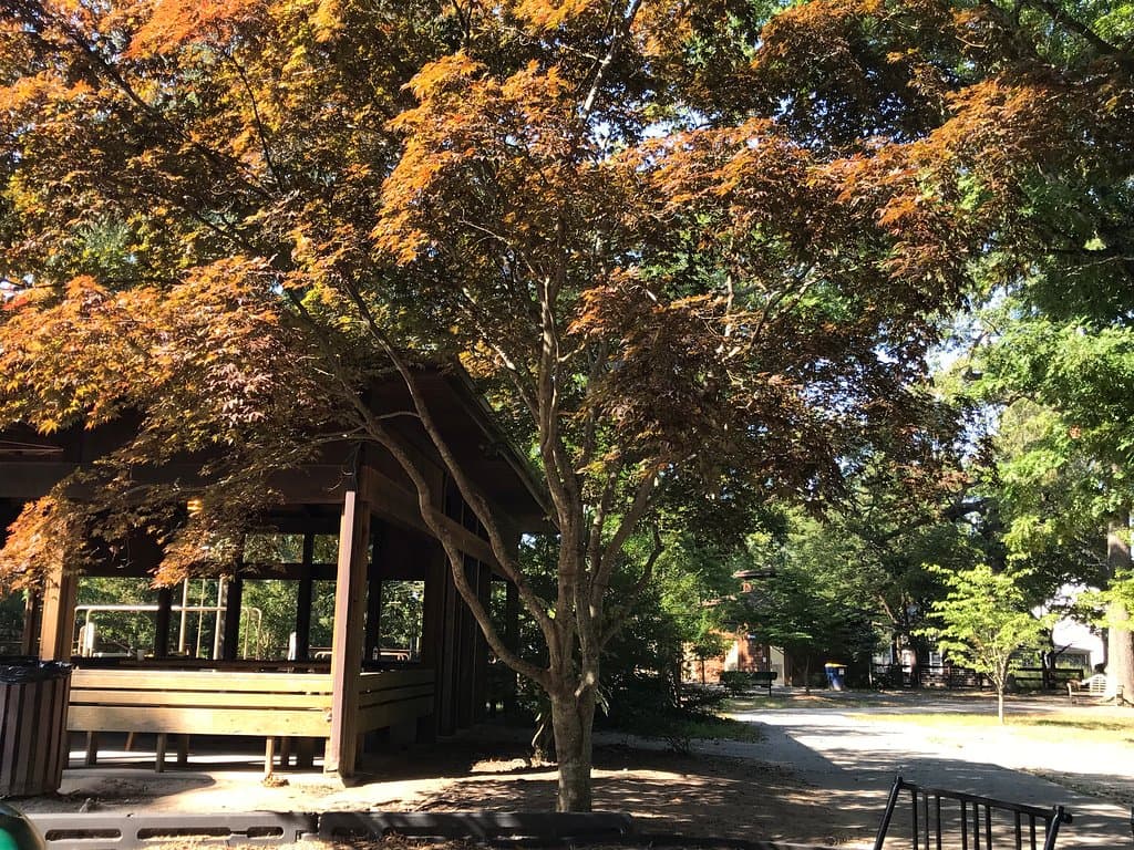 Picnic Pavilion at Grove Park and walkways