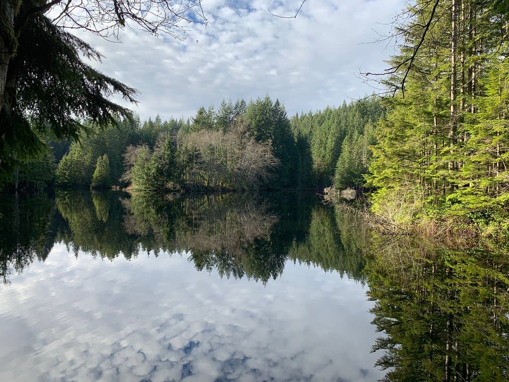 Lynn Headwaters Regional Park Vancouver