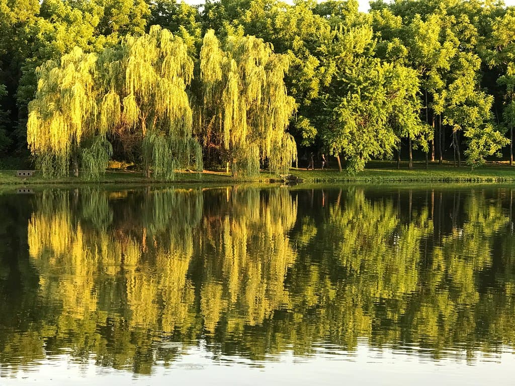 Nathanael Greene Close Memorial Park