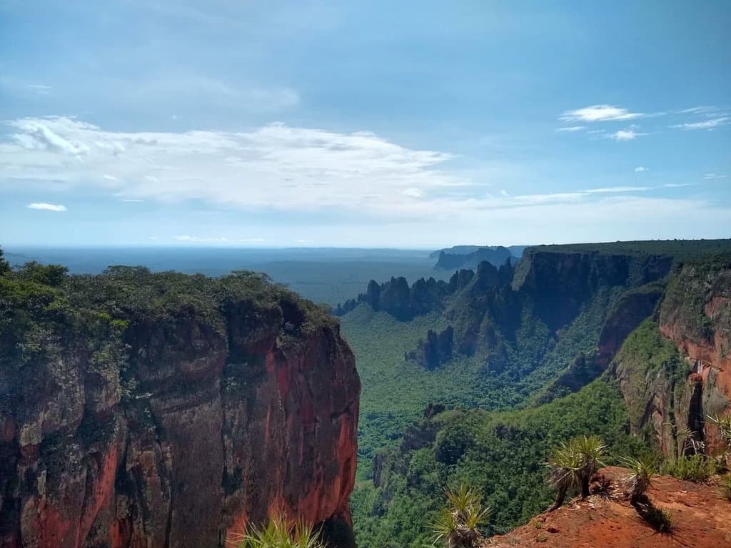 Cidade Universitária Pedra Branca