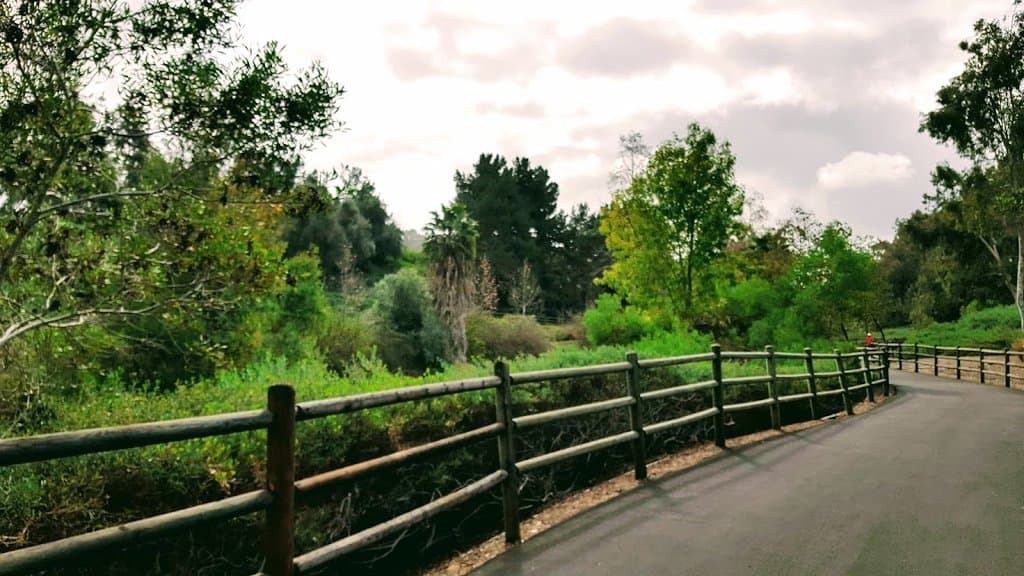 The beautiful Oso Creek Trail in January 2019