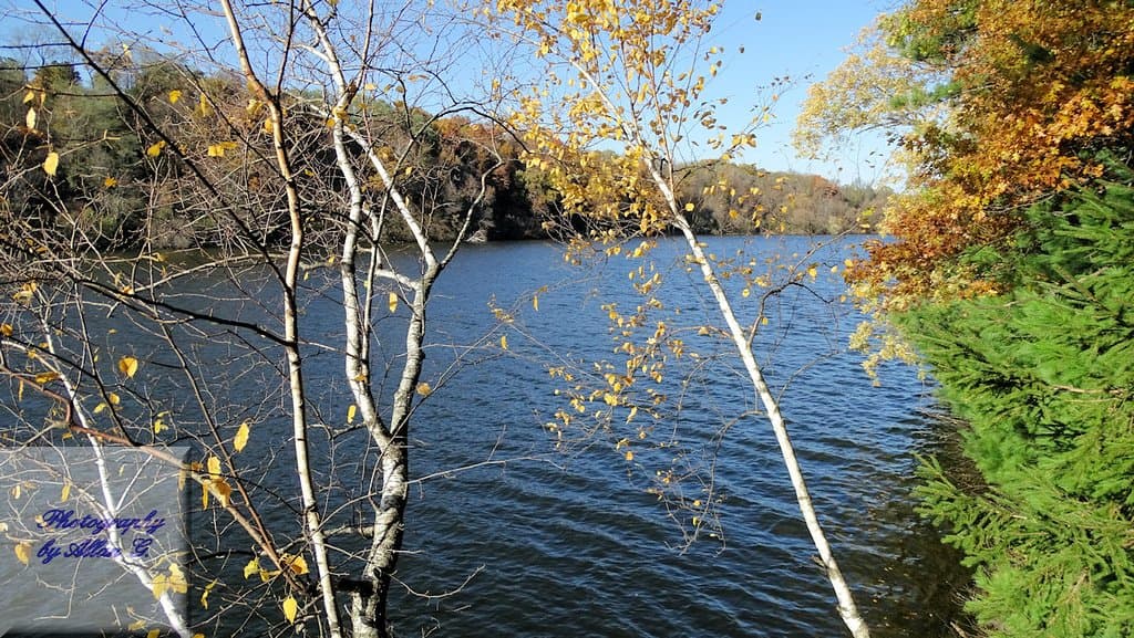 View from Carson Park