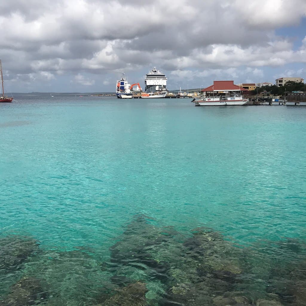 Bari Reef