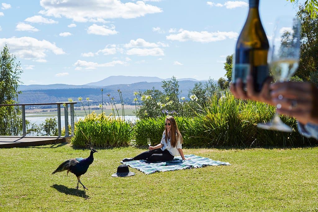 The view from the Tamar Ridge Cellar Door