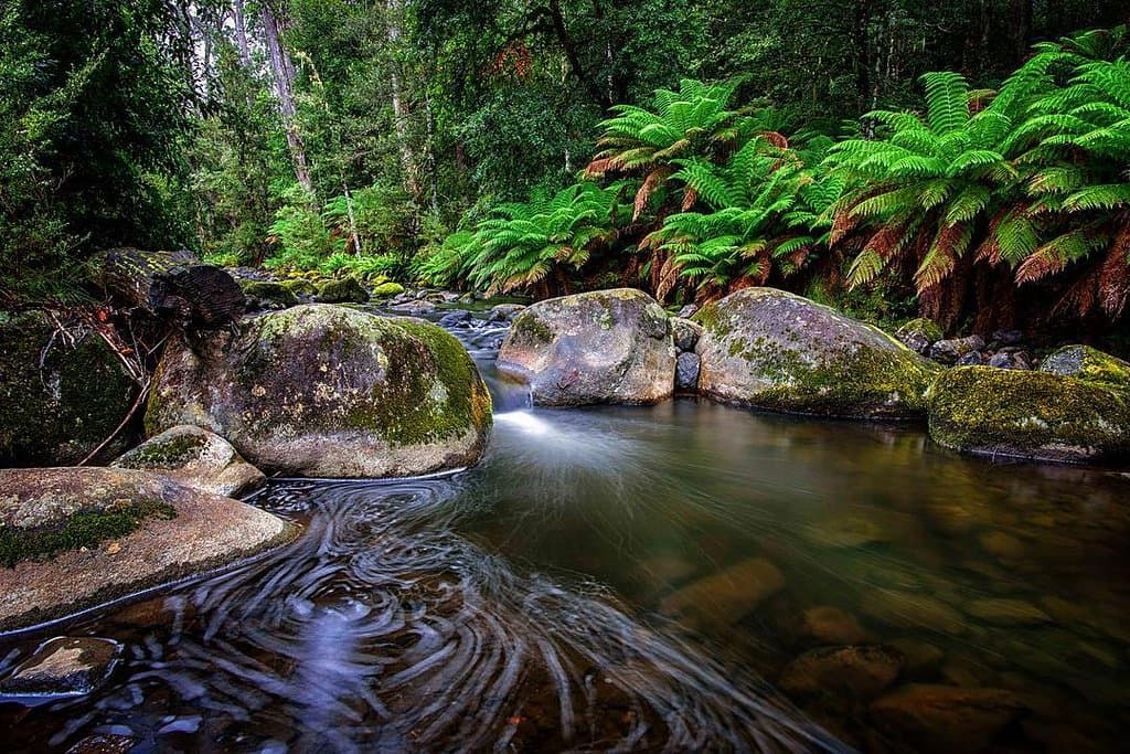Barrington Tops at its finest 👌 Looking for tranquility, rejuvenation and renewal? Head to Barrington Tops! Looking for adventure, adrenaline and wonder? Head to Barrington Tops! Looking for hikes, swimming holes and mountain bike trails? You know where to go 😉  📷 instagram.com/mattstephens7884/ #barringtoncoast #barringtontops