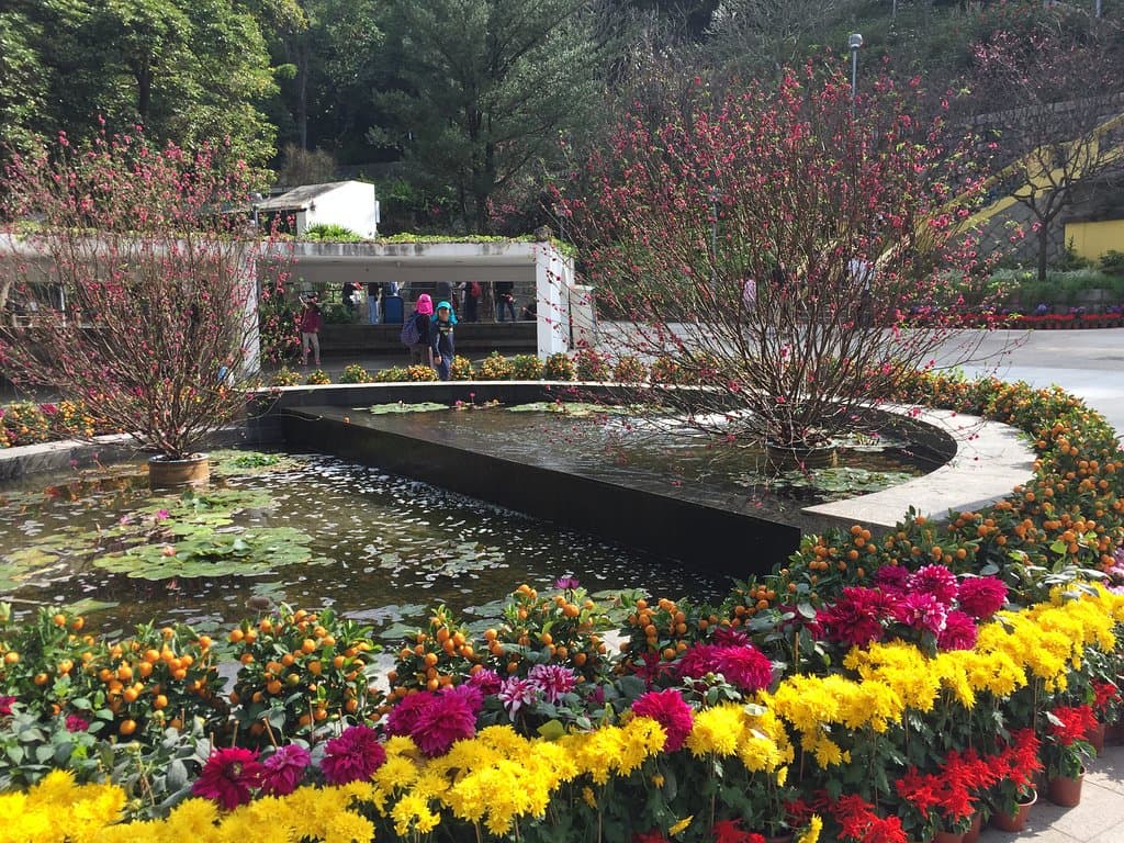 Flora Garden - during CNY 2019