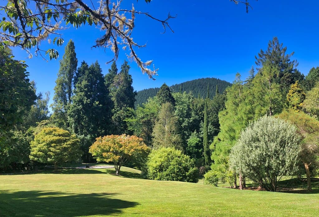 Eastwoodhill Aboretum,  Yellow track