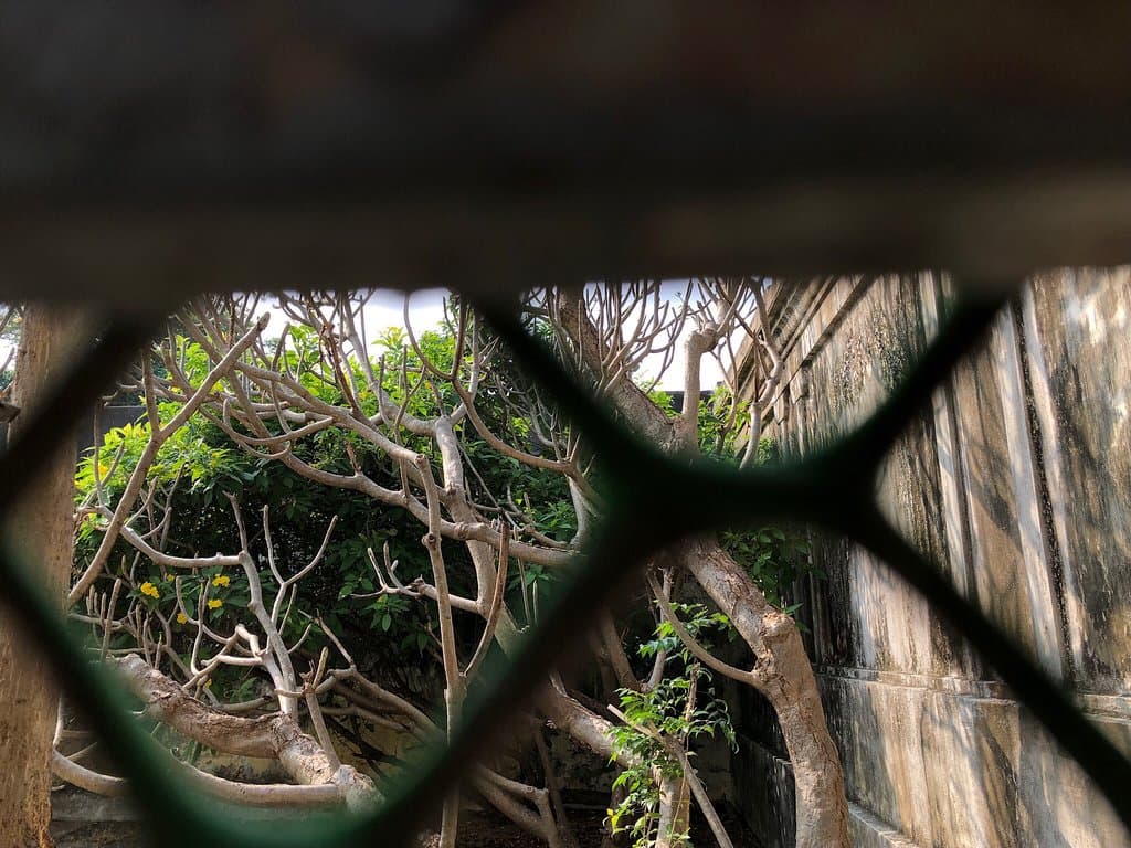 Minerva’s Shrine Edgar’s Field