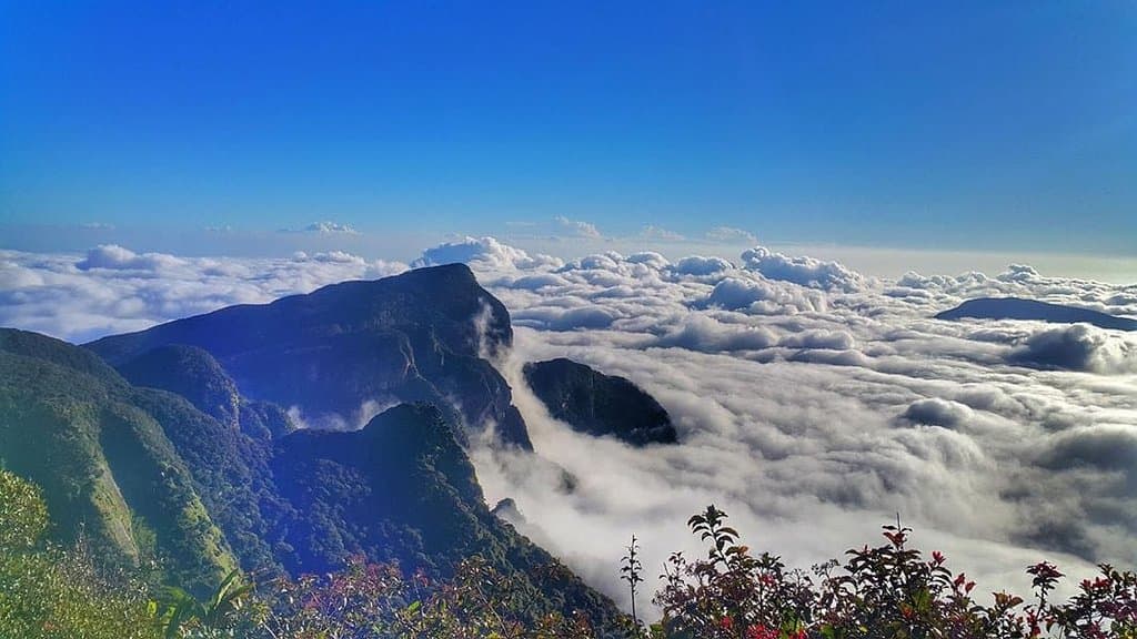 cloudy knuckles,,,its heaven...really i have no words to describe