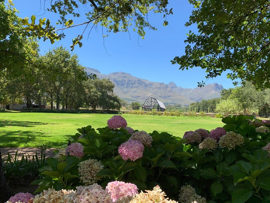 Blaauwklippen Wine Estate