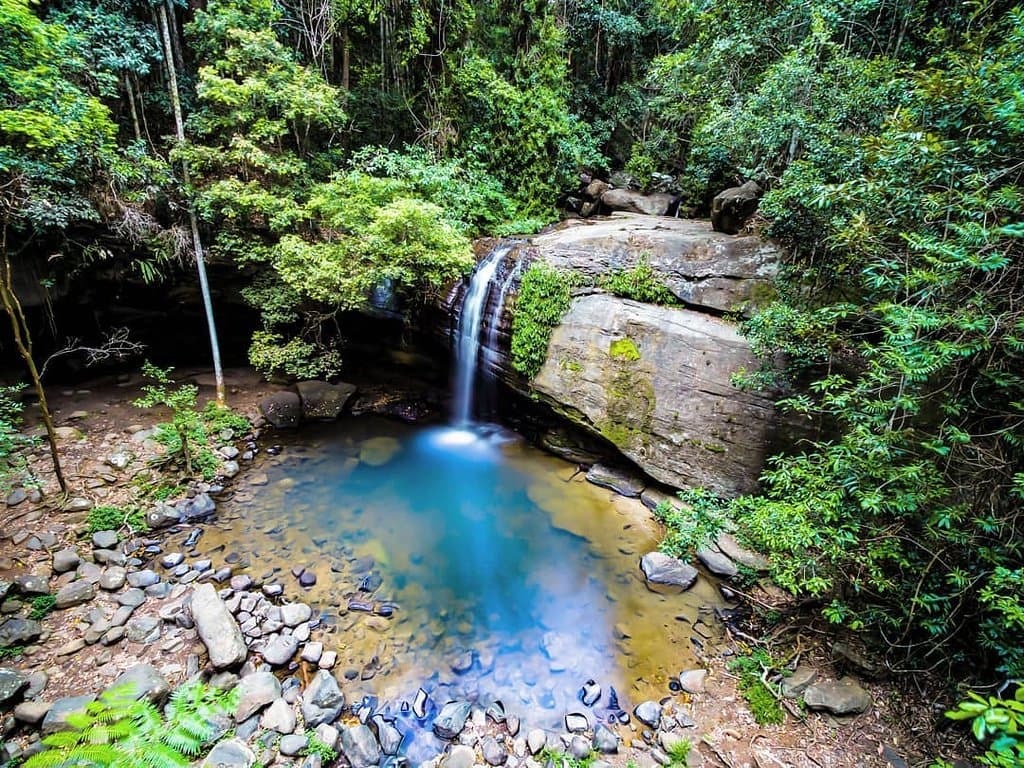 Less than a kilometre from Buderim Village, discover the hidden treasure that is Buderim Falls (also known as Serenity Falls) Photo: @salty_eyre