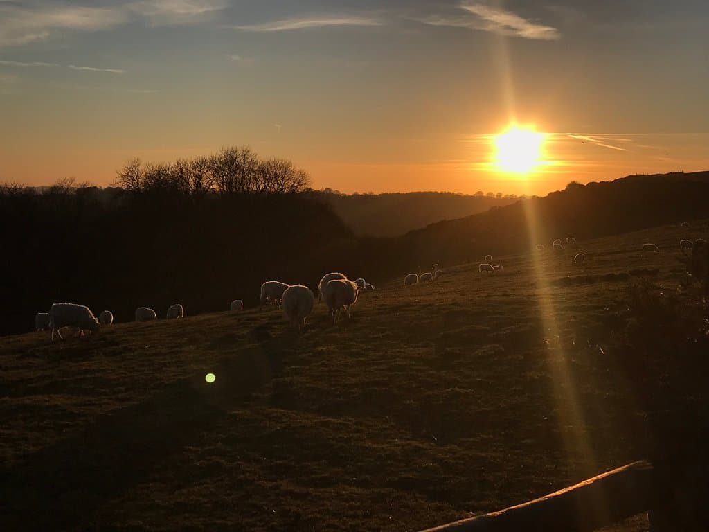 Gorgeous sunset