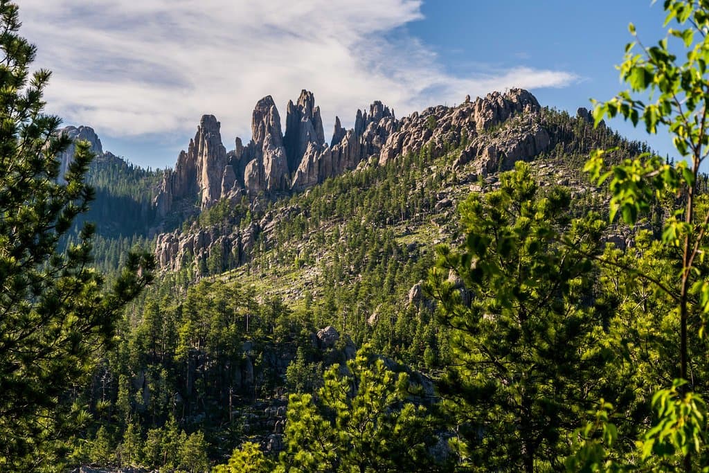View along the Peter Norbeck Scenic Byway