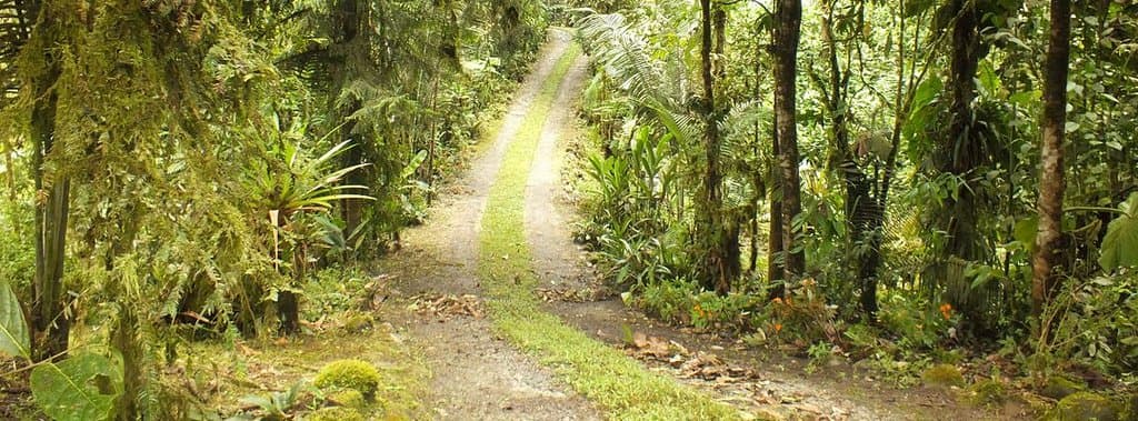 getlstd_property_photo