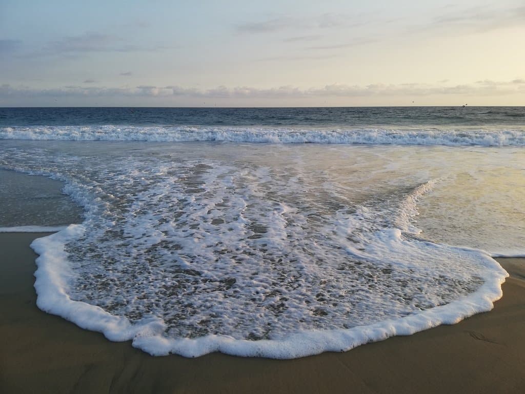 Escobilla........... Santuario de la tortuga golfina🐢🐢🐢