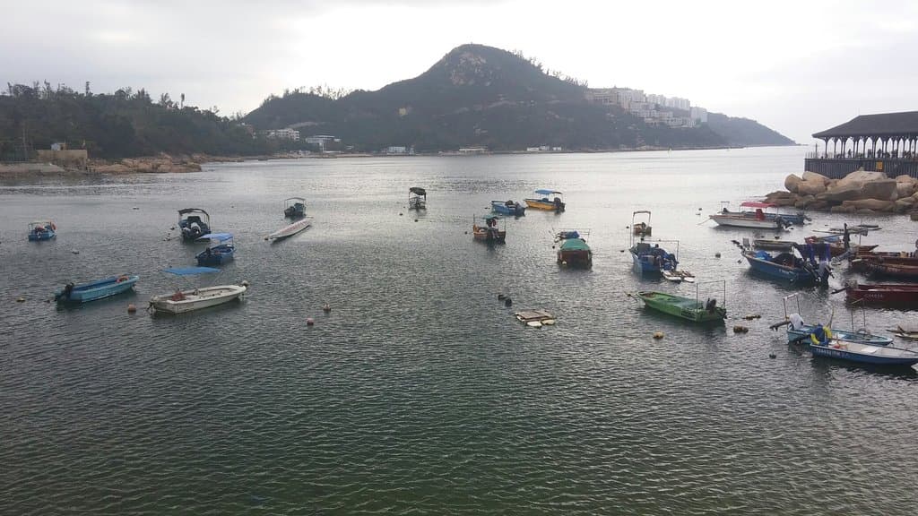 Citybus City Sightseeing Night Tour