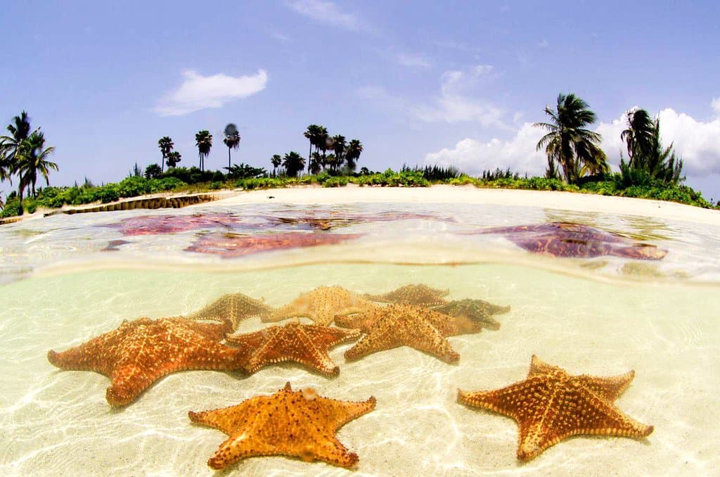 Discover Starfish Point and admire it's beauties!