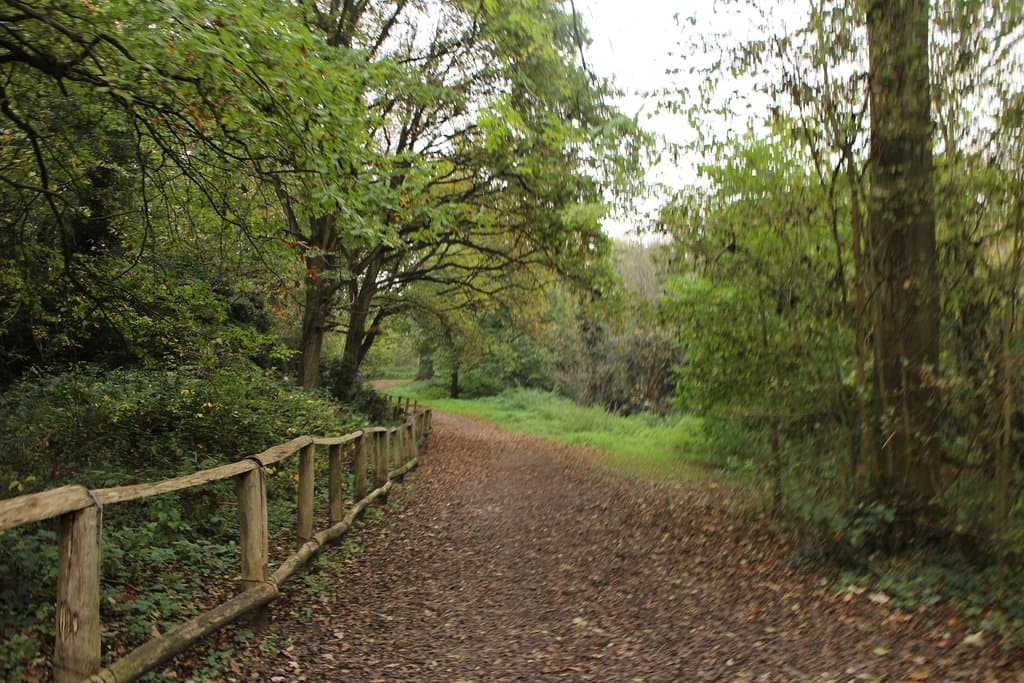 Scadbury Park