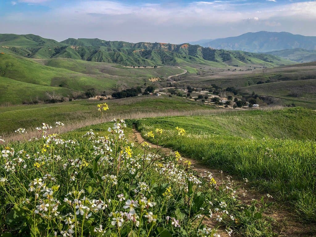 Chino Hills State Park