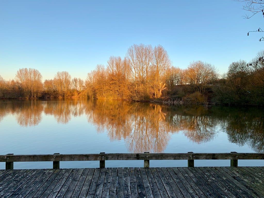 Ryton Pools Country Park