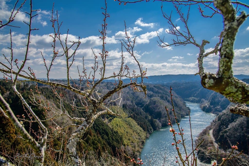 Tsukigase Plum Valley